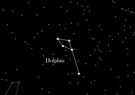 Star Sign The Dolphin