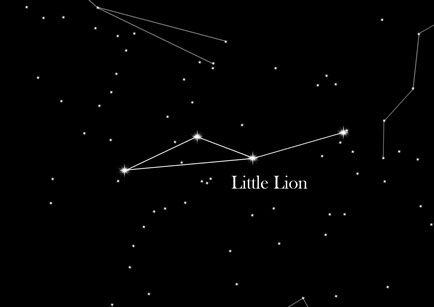 Star Sign Smaller Lion