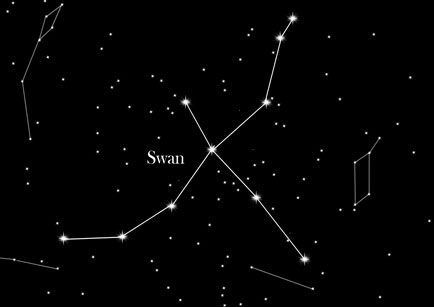 Star Sign The Swan